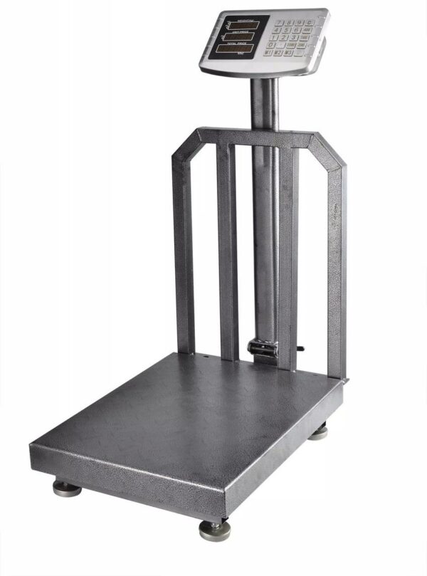 300kg platform weighing scale with heavy duty back rail.